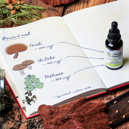 Carnet de Mamie Georges ouvert : pour 2 mL, reishi 500 mg, shiitake 300 mg, mélisse 300 mg, avec le flacon Apaise ton ventre ! posé sur la page