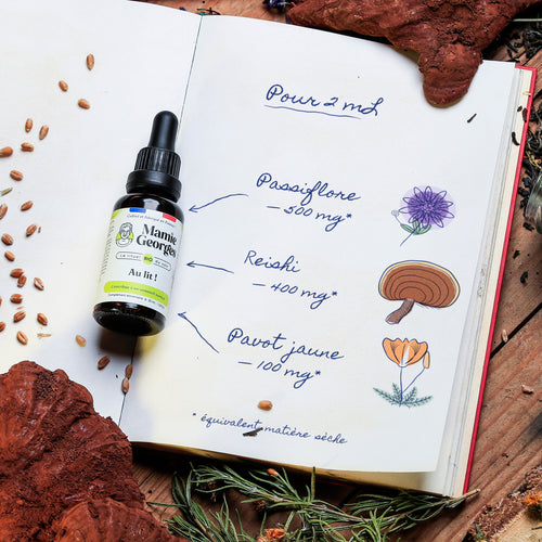 Carnet de Mamie Georges ouvert : pour 2 mL, passiflore 500 mg, reishi 400 mg, pavot jaune 100 mg, avec le flacon Au lit ! posé sur la page