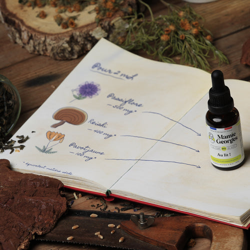 Carnet de Mamie Georges ouvert : pour 2 mL, passiflore 500 mg, reishi 400 mg, pavot jaune 100 mg, avec le flacon Au lit ! posé sur la page