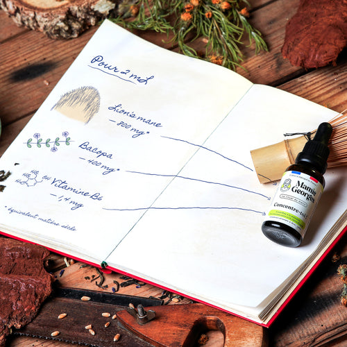 Carnet de Mamie Georges ouvert : pour 2 mL, lion's mane 800 mg, bacopa 400 mg, vitamine B6 1,4 mg, avec le flacon Concentre-toi ! posé sur la page