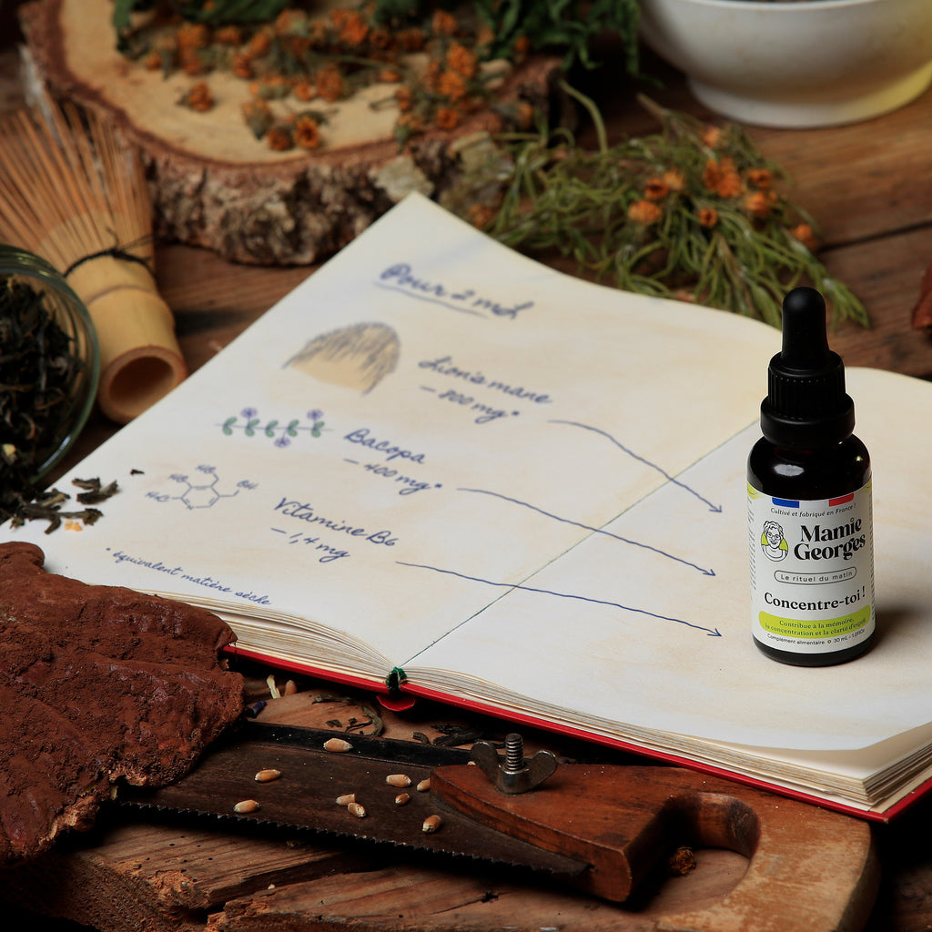 Carnet de Mamie Georges ouvert : pour 2 mL, lion's mane 800 mg, bacopa 400 mg, vitamine B6 1,4 mg, avec le flacon Concentre-toi ! posé sur la page