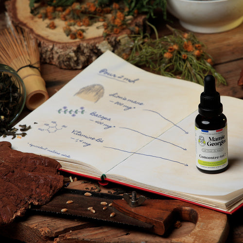 Carnet de Mamie Georges ouvert : pour 2 mL, lion's mane 800 mg, bacopa 400 mg, vitamine B6 1,4 mg, avec le flacon Concentre-toi ! posé sur la page