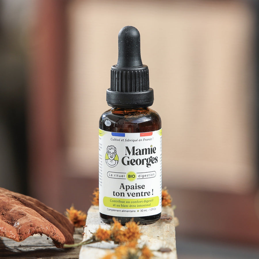 Flacon Apaise ton ventre ! de Mamie Georges, fermé, sur un poteau de bois entre reishi et fleurs de calendula